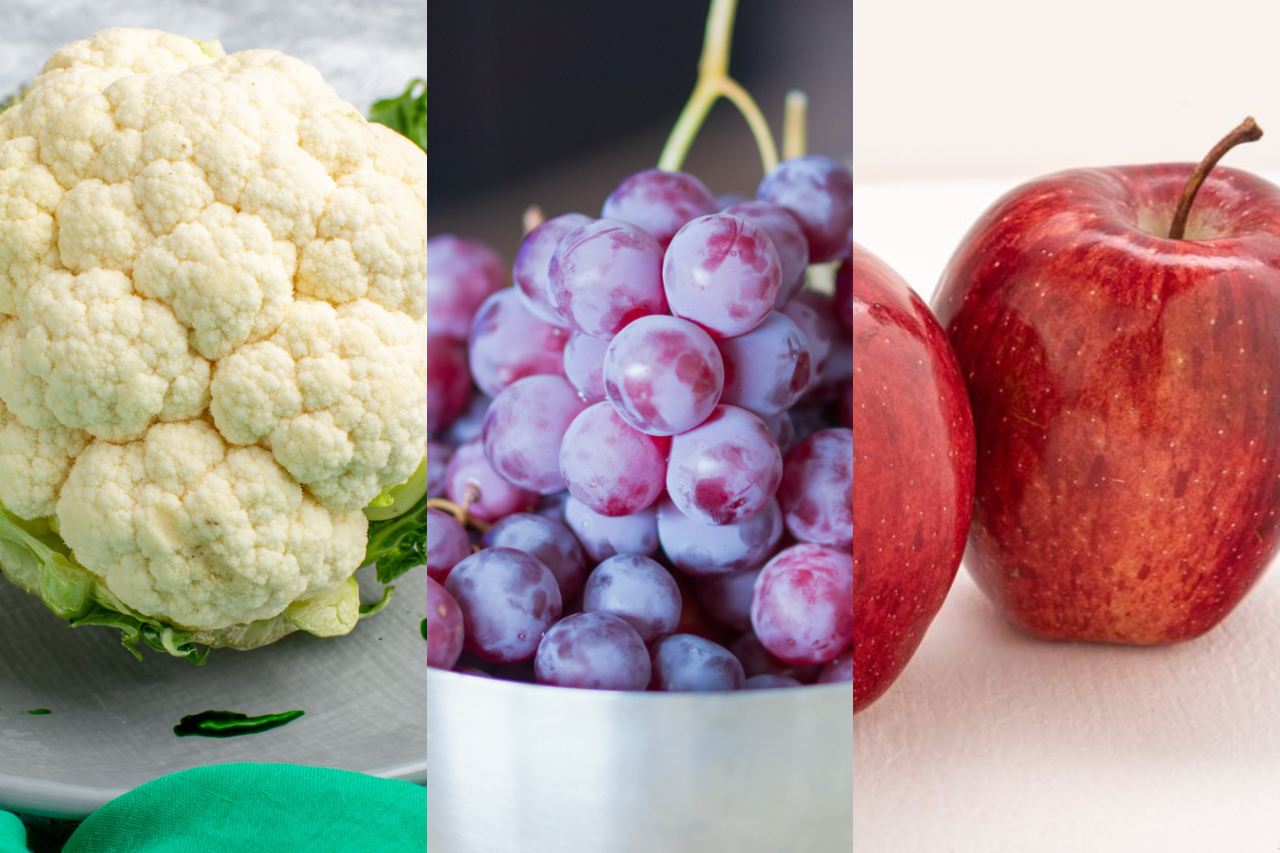 Do mirtilo ao salmão: esses alimentos contribuem para o bom funcionamento dos rins, segundo especialistas – Montagem/Magnific/Pexels