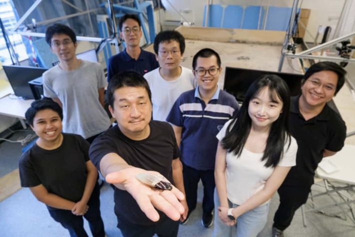Equipamento permite que baratas respirem debaixo d’água por até 3 horas em testes laboratoriais – Divulgação/Nanyang Technological University (NTU)
