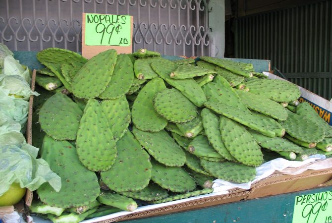 Nopales: conheça o cacto ancestral usado pelos astecas que virou símbolo da culinária e da identidade do México