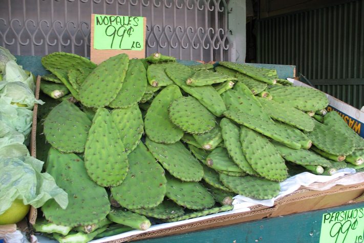 Nopales (Opuntia ficus-indica) | Flickr - Gary Stevens