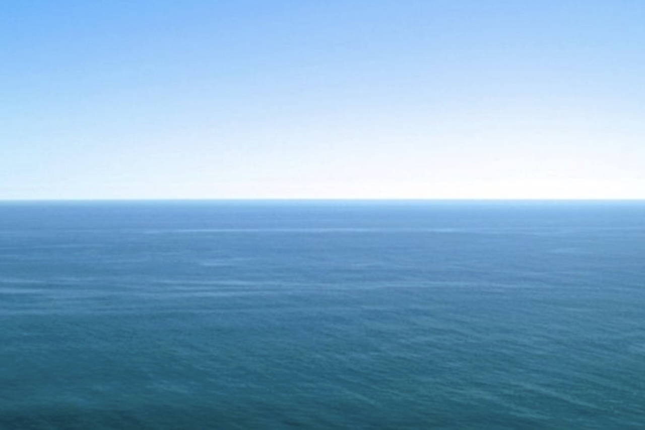 No fundo do Oceano Pacífico, na costa do Canadá, pesquisadores identificaram um dos maiores berçários naturais de raias já registrados. O local fica no complexo vulcânico Tuzo Wilson, onde a combinação de atividade hidrotermal, corais e formações rochosas cria condições favoráveis para o desenvolvimento de milhões de embriões. -  (crédito: Wikimedia Commons/Alec Perkins)