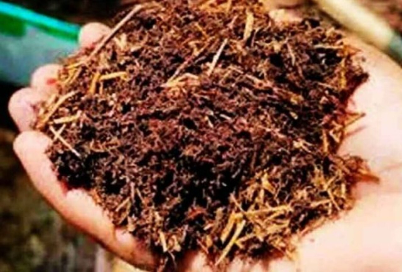 A palha tem vantagens: é sustentável e ecológica; biodegradável, não gera resíduos poluentes. Portanto, adequada aos tempos modernos em que se prega a preservação ambiental.