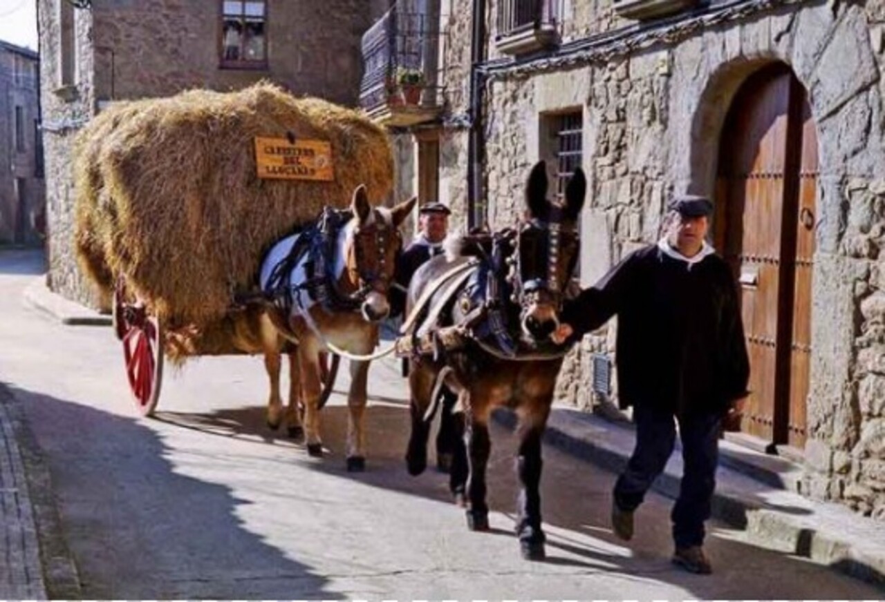 A palha é fácil de transportar e trabalhar; leve e flexível. É esteticamente agradável, com apelo rústico e natural. Mas tambem há desvantagens. A palha é sensível à umidade, podendo apodrecer ou mofar. É inflamável e, portanto, exige cuidado em locais quentes ou próximos ao fogo.