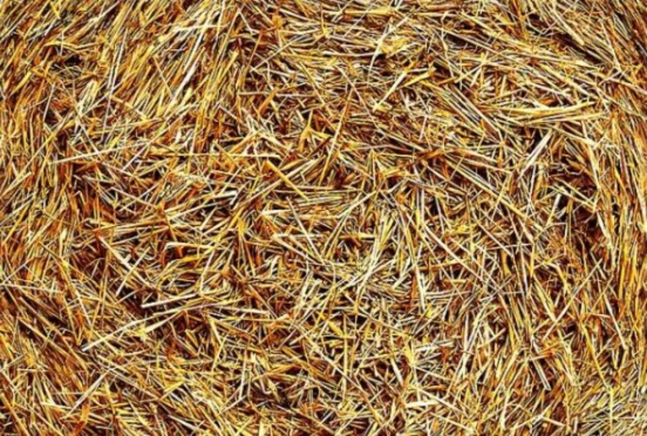A palha é composta principalmente de celulose, hemicelulose e lignina, substâncias presentes nos caules das plantas. Essas fibras vegetais conferem leveza e flexibilidade, características essenciais para sua utilização em produtos trançados ou moldados.
