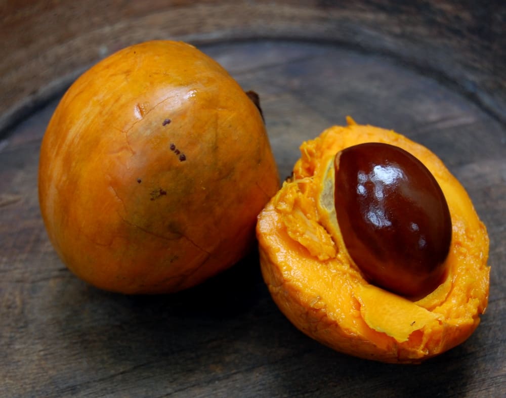 Pouco conhecido no Brasil, o canistel chama atenção pela polpa amarelo-intensa, textura cremosa e sabor adocicado. Originário da América Central, ele recebeu apelidos como 'fruta-ovo' por lembrar uma gema cozida quando é cortado. Conheça algumas curiosidades sobre essa fruta tropical. -  (crédito: Wibowo Djatmiko wikimedia commons)