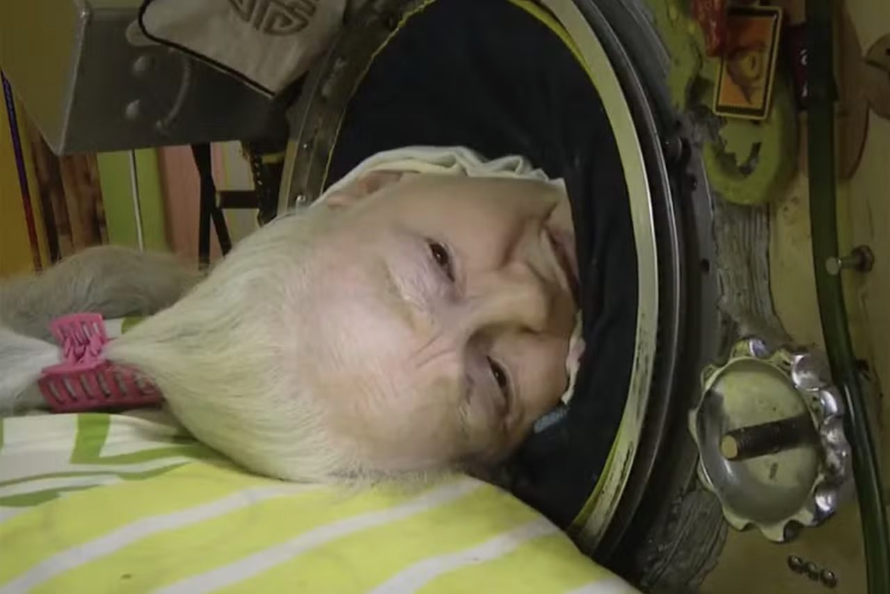 Após mais de 70 anos em 'pulmão de aço', morre Martha Ann Lillard, última paciente a utilizar o aparelho nos Estados Unidos – Reprodução/TV KFOR Oklahoma's News 4