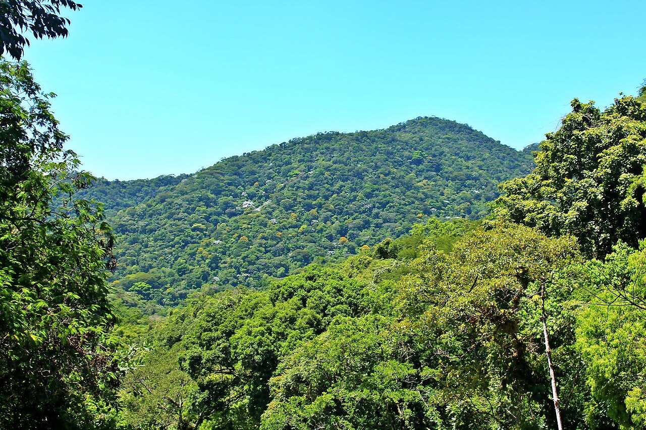 Próxima dali também está a Reserva Biológica do Tinguá, considerada uma das áreas mais preservadas de Mata Atlântica do Brasil. A gastronomia local reúne influências do interior fluminense e da culinária nordestina, com pratos tradicionais à base de aipim, feijão tropeiro, costela e doces artesanais.