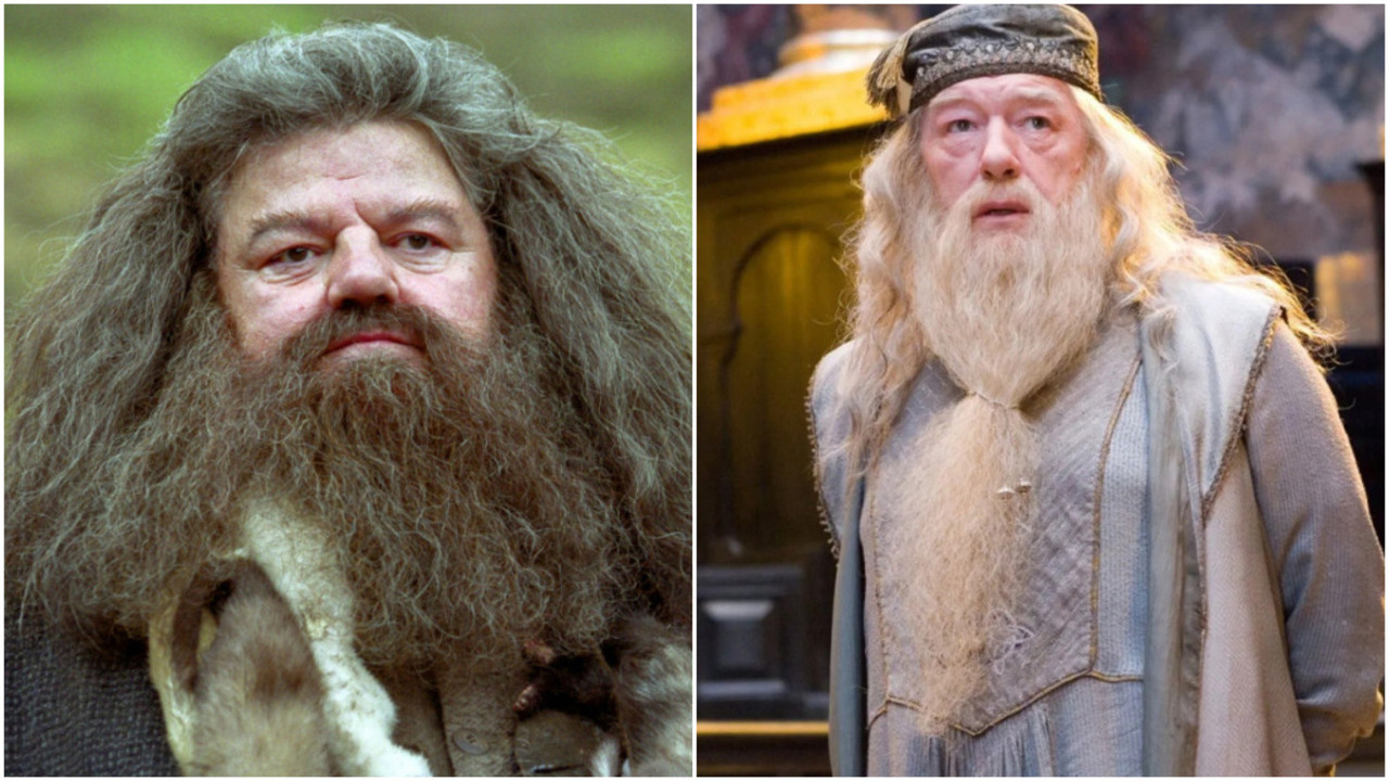 Outras duas perdas marcantes foram as de Robbie Coltrane, inesquecível como o meio-gigante Rúbeo Hagrid, que morreu em 2022, aos 72 anos, após complicações de saúde, e de Michael Gambon, que assumiu o papel de Dumbledore após a morte de Richard Harris. Gambon faleceu no dia 27 de setembro de 2023, aos 82 anos.
