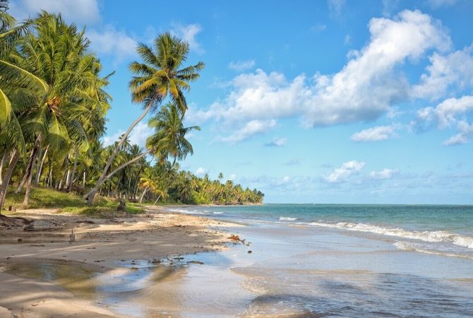 São Miguel dos Milagres, em Alagoas, é eleita uma das 100 praias mais icônicas do mundo
