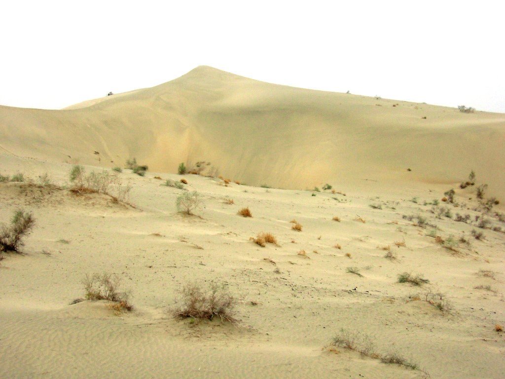 Mais de 85 % de sua superfície têm dunas de areia em constante movimento, muitas com alturas que podem ultrapassar 300 metros. Sob as areias escaldantes, o deserto esconde vastas reservas de recursos naturais, especialmente petróleo e gás natural, o que motivou o governo chinês a construir infraestruturas complexas, como a Rodovia do Deserto de Tarim.