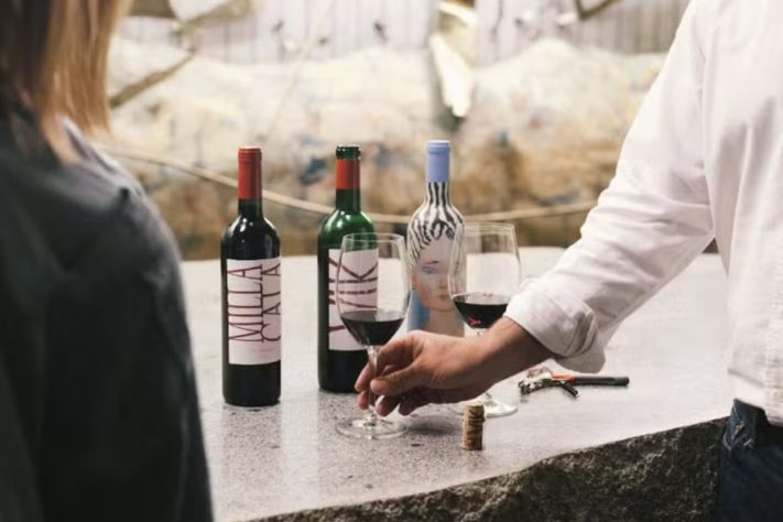 Vinhos Vik – Divulgação