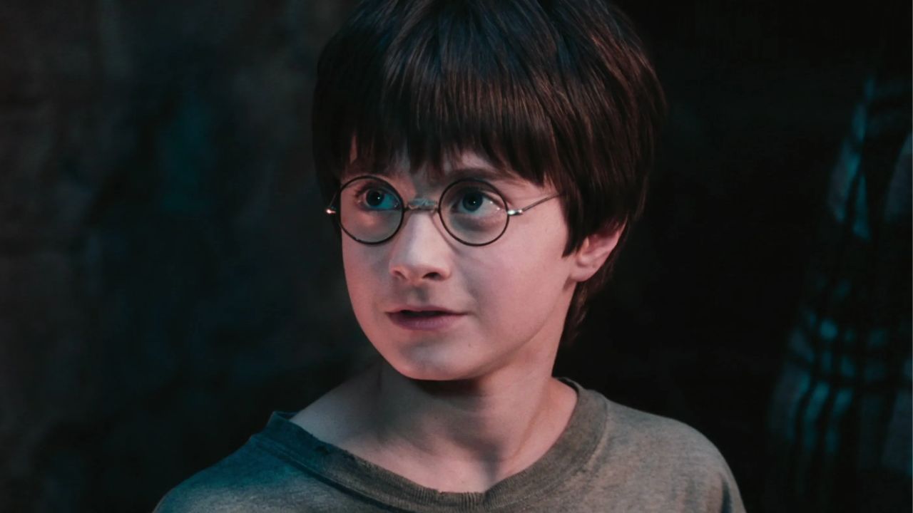 A história acompanha o jovem órfão Harry Potter, que descobre, aos 11 anos, ser bruxo e que foi chamado para ser aluno da Escola de Magia e Bruxaria de Hogwarts. Na escola, ele se torna amigo de Rony Weasley e Hermione Granger. Juntos, os três enfrentam diversos desafios para tentar impedir os planos do bruxo das trevas Lord Voldemort e de seus seguidores. 

