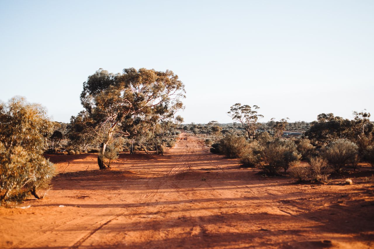 Iniciativa sustentável: tambores velhos viram transporte escolar e mudam a rotina de crianças em comunidade remota da Austrália - Pexels/Rachel Claire