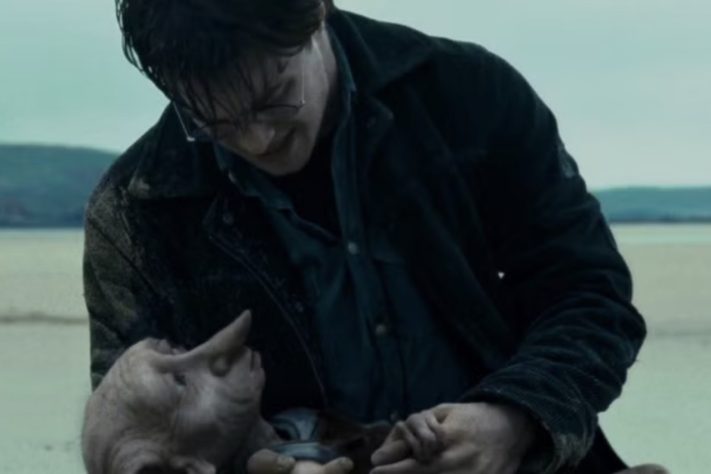 Cena de sepultamento do Dobby em 