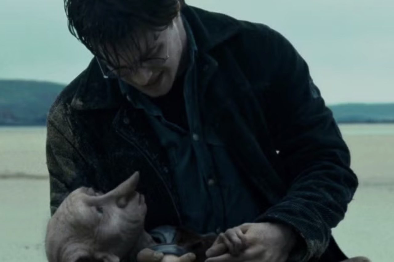 Sua lealdade inabalável a Harry Potter marcou diversos momentos cruciais da saga, culminando no seu trágico e heroico sacrifício para salvar o bruxo e seus amigos das garras dos Comensais da Morte. Seu sepultamento singelo, feito à mão pelo próprio Harry sem o uso de magia, garantiu ao personagem um lugar especial no coração dos fãs.