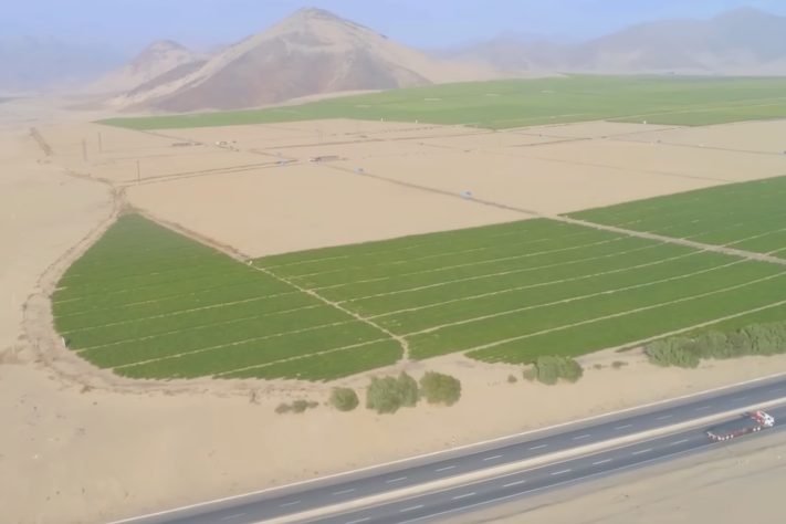 Deserto de Ica, Peru, virou polo agrícola – Reprodução/YouTube