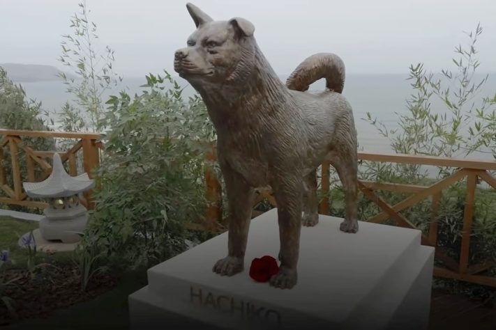Após virar símbolo da lealdade no Japão, Hachiko ganha estátua em novo parque de Lima, no Peru – Reprodução/YouTube