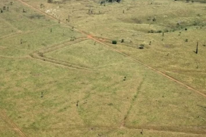 Estudo identifica geoglifos no sudoeste da Amazônia – Divulgação/Agência Acre