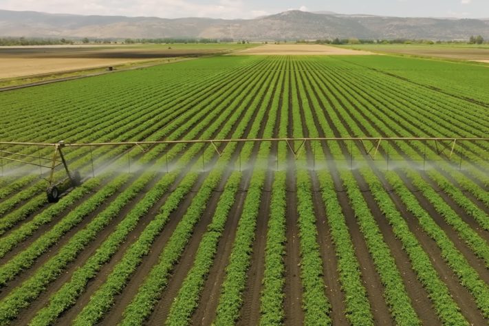 Deserto de Ica, Peru, virou polo agrícola – Reprodução/YouTube
