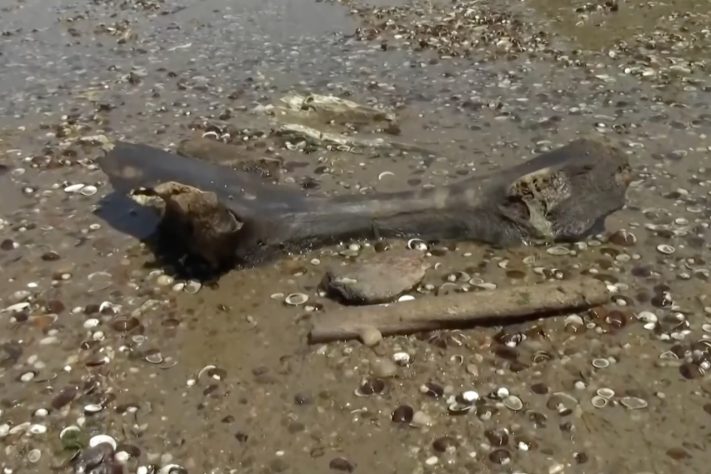 Seca extrema no rio Danúbio expõe destroços de navio nazista da 2ª Guerra Mundial – Reprodução/TV Globo