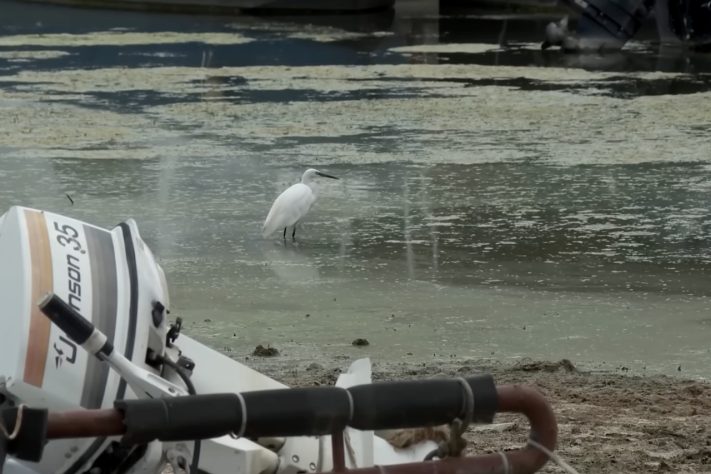 Seca extrema no rio Danúbio expõe destroços de navio nazista da 2ª Guerra Mundial – Reprodução/YouTube Reuters