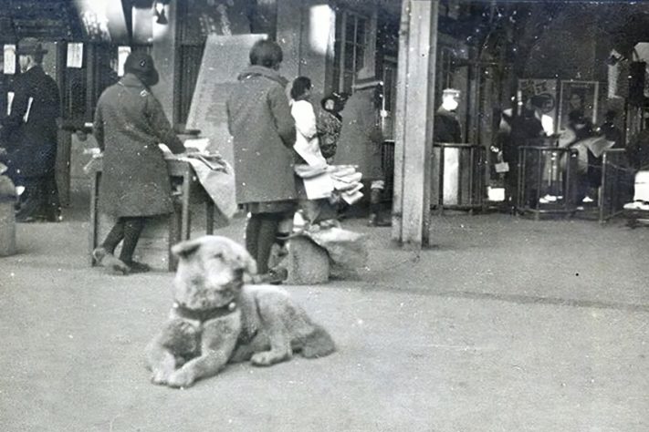 Cão Hachiko – Domínio Público 