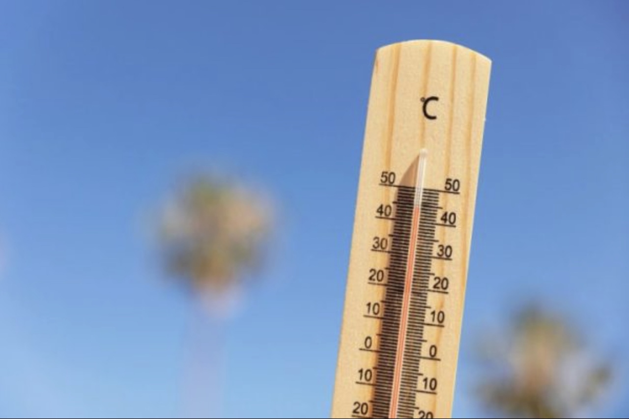 Especialistas associam o aumento da frequência desses eventos extremos às mudanças climáticas provocadas pela ação humana, somadas aos efeitos do fenômeno El Niño, que no ano de 2026 tem contribuído para elevar as temperaturas em diversas regiões do planeta.