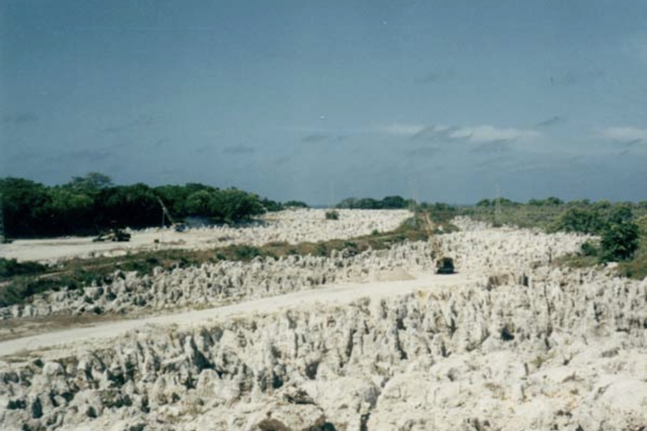 Com aproximadamente 12 mil habitantes, a República de Naoero enfrenta desafios que se tornaram ainda mais complexos por causa das limitações naturais de seu território. A história recente da ilha foi marcada pela exploração de fosfato, que gerou grande riqueza no século 20, especialmente nos anos 1970, mas causou forte degradação ambiental, destruindo cerca de 90% das terras cultiváveis.