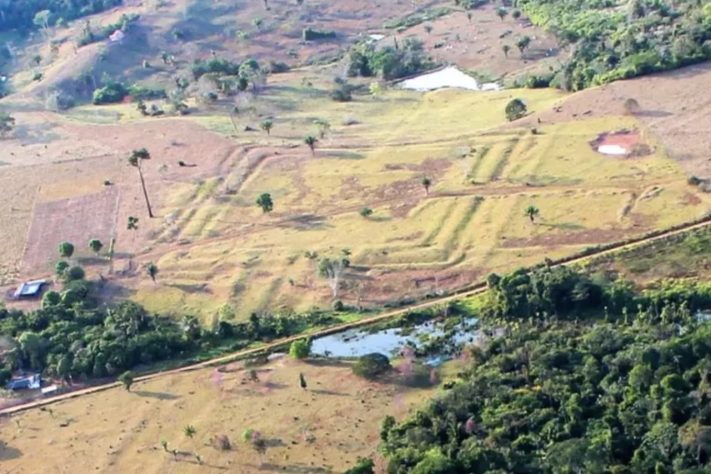 Estudo liderado por finlandeses identifica geoglifos no sudoeste da Amazônia – Divulgação