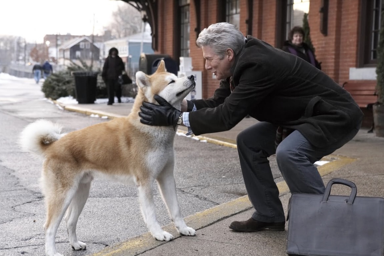 Livros, documentários e produções cinematográficas também ajudaram a espalhar sua fama, entre elas o filme “Sempre ao Seu Lado”, de 2009, com Richard Gere. Agora, a homenagem no Peru amplia ainda mais o alcance de uma história que se tornou sinônimo de fidelidade.