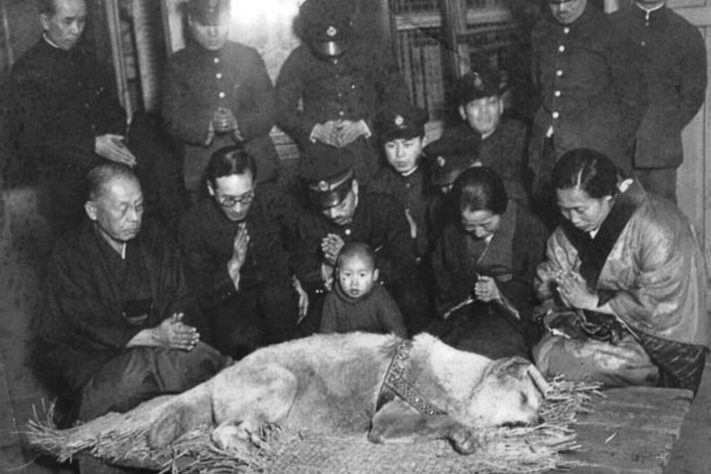 Funeral do cão Hachiko – Shibuya Folk and Literary Shirane Memorial Museum/Domínio Público 