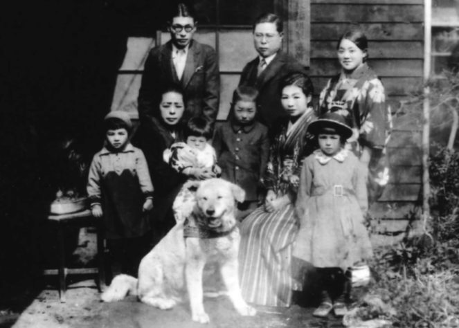 Cão Hachiko – Autor desconhecido/Wikimedia Commons