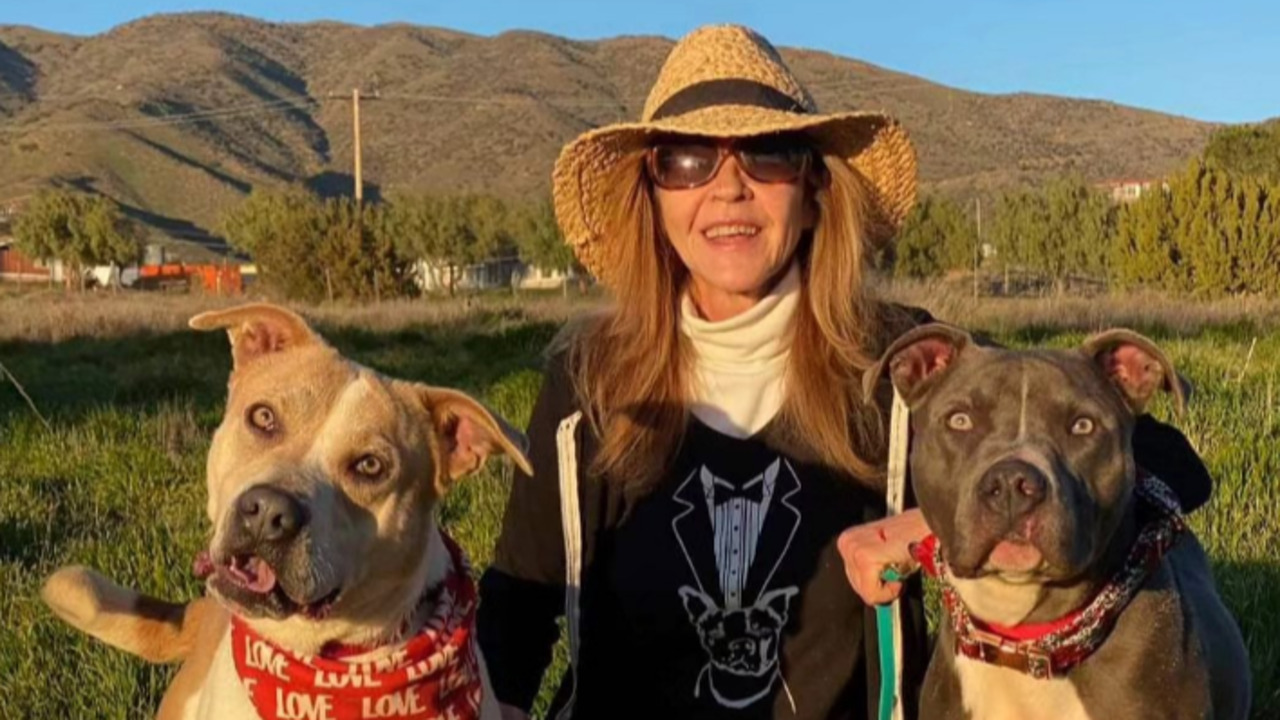 Moradores da região relataram à imprensa que ouviam com frequência latidos e choros de cães vindos da propriedade, o que gerou diversas reclamações sobre a quantidade de animais no local. Já uma ex-funcionária e amiga de longa data de Blair negou qualquer negligência e afirmou que os cães sempre receberam abrigo, alimentação e água.

