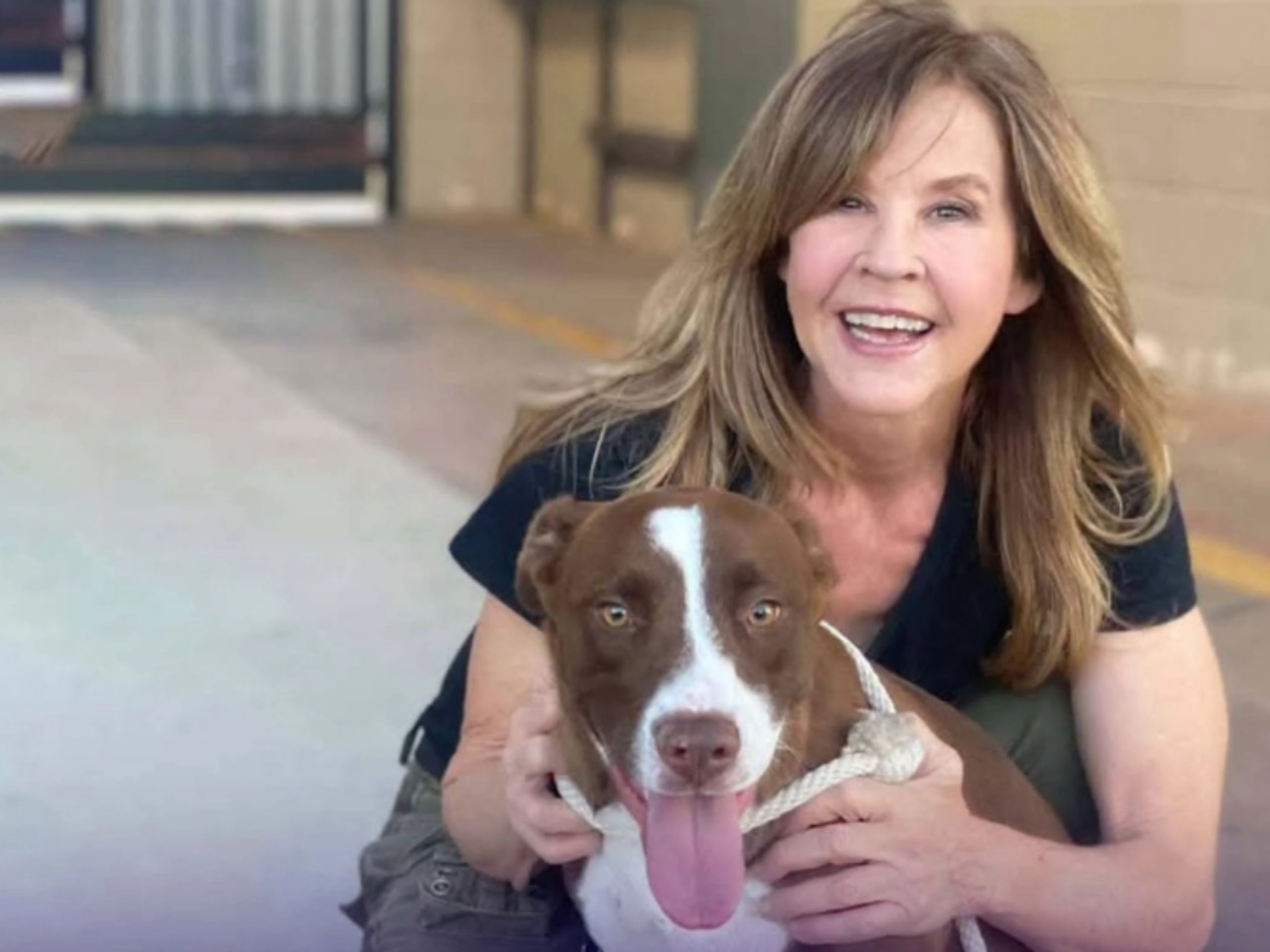 O condado também autuou Linda Blair por operar uma instalação para animais sem licença válida e por manter um número de cães acima do limite permitido, que era de 100. A licença da propriedade havia expirado em 2023 e não foi renovada. De acordo com o Departamento de Planejamento Regional, foram feitas 24 tentativas de inspeção ao longo de três anos, todas recusadas ou sem resposta. Diante da situação, o órgão solicitou um mandado judicial para realizar a fiscalização. A investigação continua em