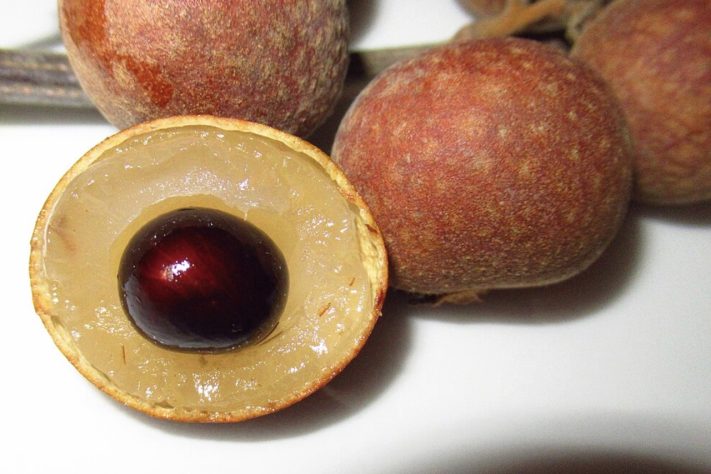 Longan, fruta pouco conhecida entre os brasileiros vira aposta de produtores | Flickr - TopTropicals.com