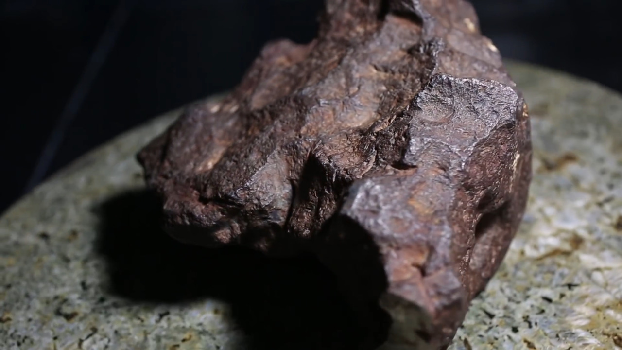 O meteorito remonta a 1988, quando um homem comprou uma fazenda em Edmore e encontrou uma enorme rocha sendo usada como peso de porta. Na ocasião, o antigo proprietário afirmou que a pedra era um meteorito que havia caído na propriedade na década de 1930. 
