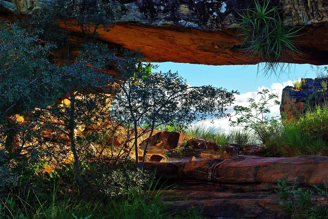A paisagem também apresenta diversidade ambiental, pois o parque está em uma área de transição entre o Cerrado e a Caatinga. Rios, nascentes e piscinas naturais acrescentam áreas úmidas ao cenário, cuja aparência pode mudar bastante conforme o período de chuvas ou de estiagem.