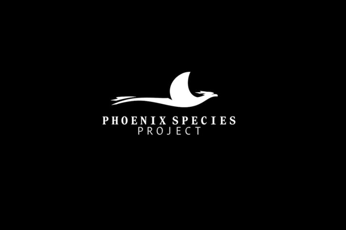 Phoenix Species Project, projeto criado por Leonardo DiCaprio e Jeff Bezos para salvar espécies em extinção – Divulgação 