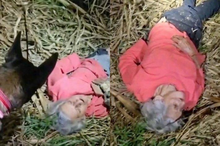 Resgate de idosa de 95 anos, perdida em região de mata em Belo Horizonte, envolve bombeiros, cães farejadores e até drone – Divulgação/Corpo de Bombeiros