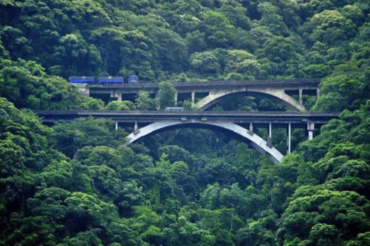 Para abrir caminho, aproximadamente 16 milhões de metros quadrados de vegetação foram retirados. Décadas depois, a construção da segunda pista adotou uma estratégia diferente, com túneis e viadutos que permitiram atravessar a montanha sem ocupar continuamente as encostas.