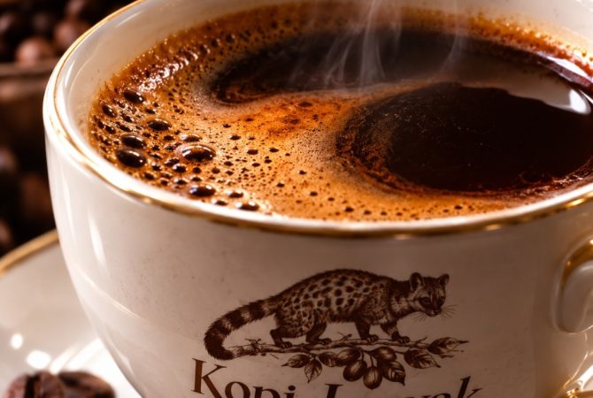 Kopi Luwak:  a história e as controvérsias de um dos cafés mais caros do mundo