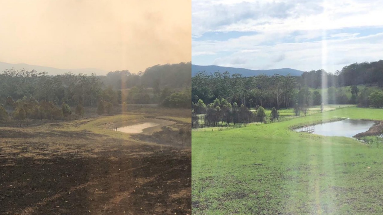 A recuperação da área começou logo depois do desastre e se estendeu pelos anos seguintes. Em 2023, o portal Domain informou que o ator tinha concluído a revitalização do terreno e imagens divulgadas na época mostraram a vegetação em recuperação nas áreas atingidas. 

