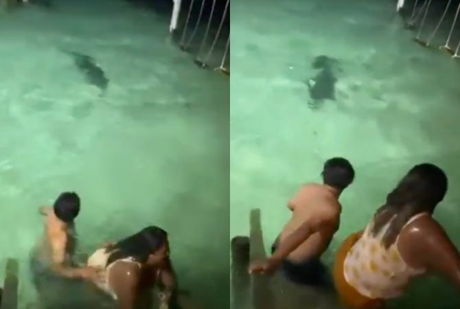 Susto! Turistas são surpreendidos e escapam de crocodilo ‘no último segundo’ durante banho noturno em Belize