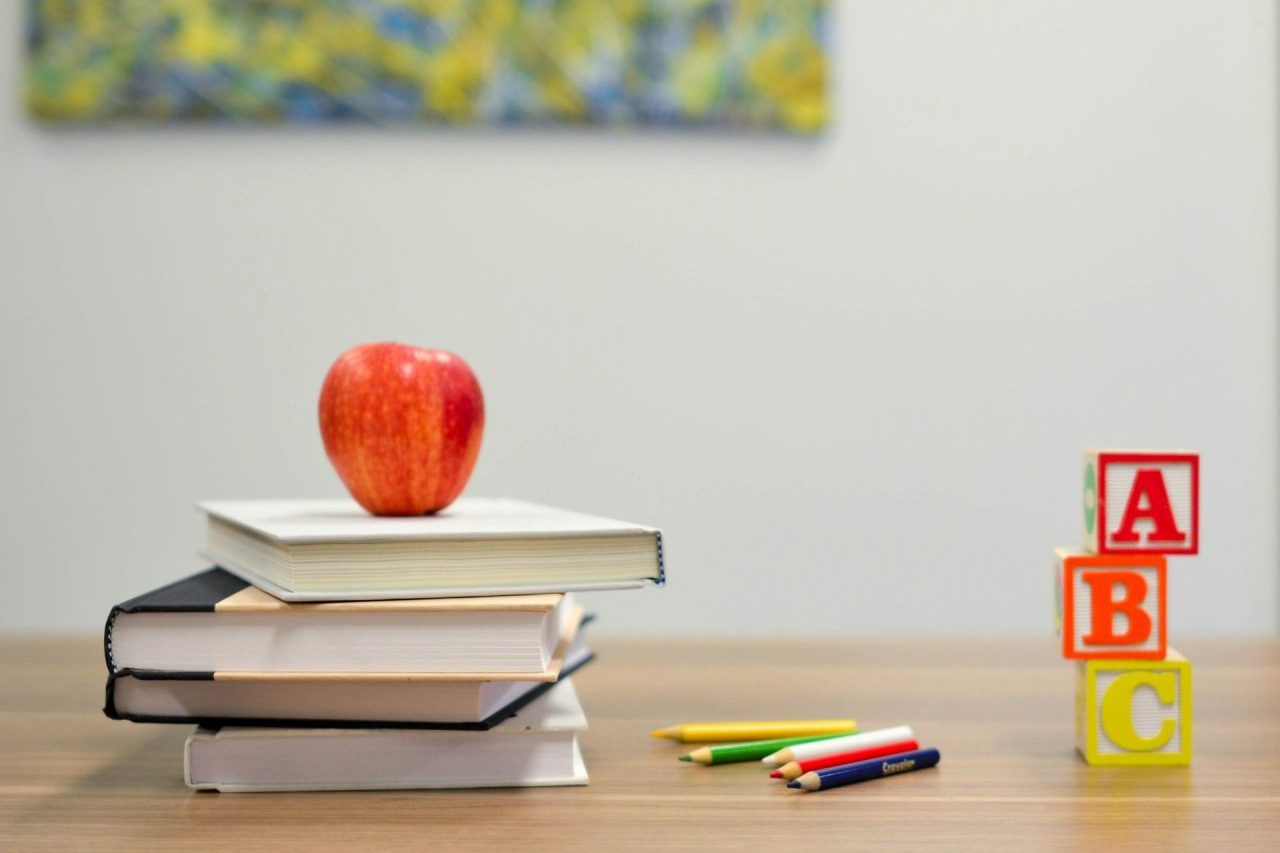 Assim, as aulas de música deverão ficar sob responsabilidade de docentes especializados em música, enquanto artes visuais, dança e teatro seguirão o mesmo princípio. De acordo com o CNE, a separação pretende valorizar as características próprias de cada linguagem e contribuir para uma formação mais ampla dos alunos.