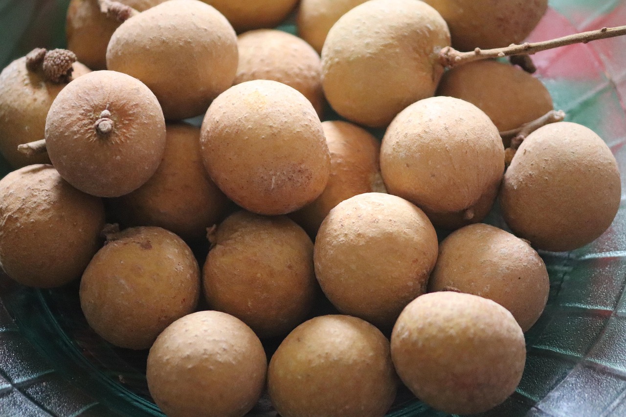 Caso a produção nacional cresça, a longan tem potencial para deixar de ser uma raridade e se tornar uma opção mais acessível nas feiras e mercados brasileiros. Além disso, o potencial de uso em sobremesas e bebidas pode ampliar ainda mais sua presença na gastronomia brasileira. 