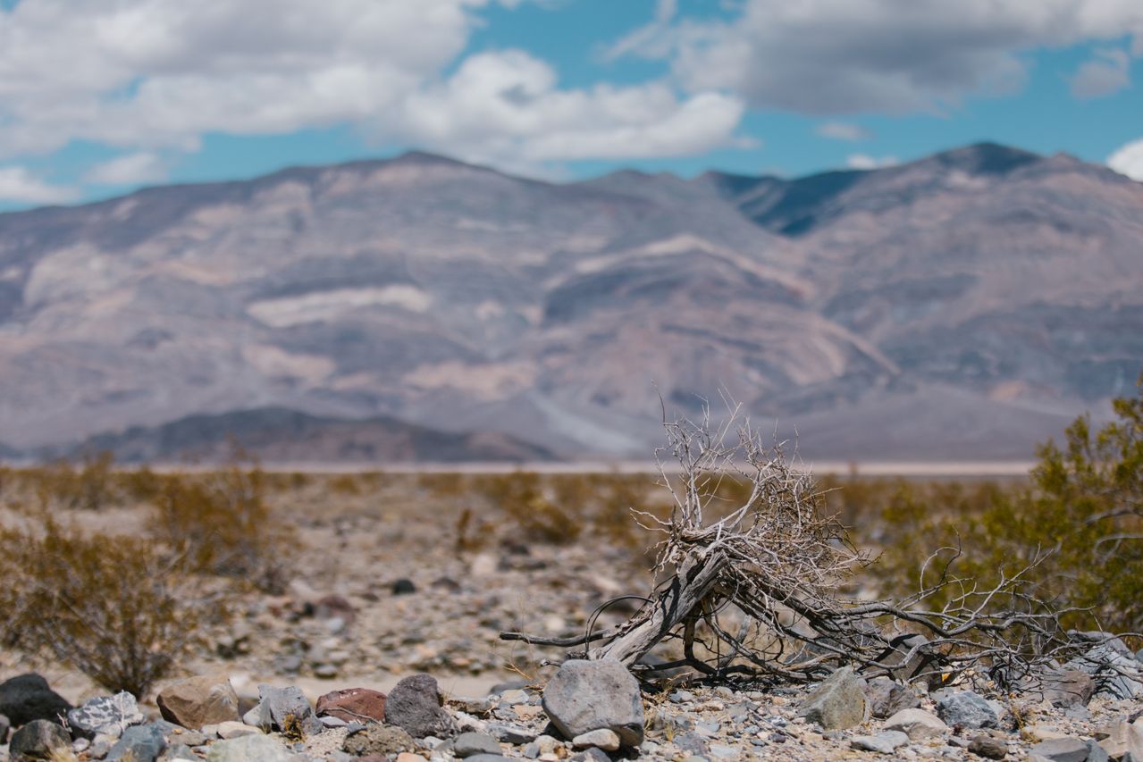 O homem estava acompanhado de outra pessoa durante o incidente e os dois decidiram seguir a pé pelas planícies de sal em direção à Badwater Road, uma estrada pavimentada da região. Após percorrer aproximadamente 2,1 quilômetros sob o calor extremo, Formosa afirmou que não tinha condições de continuar e permaneceu no local.