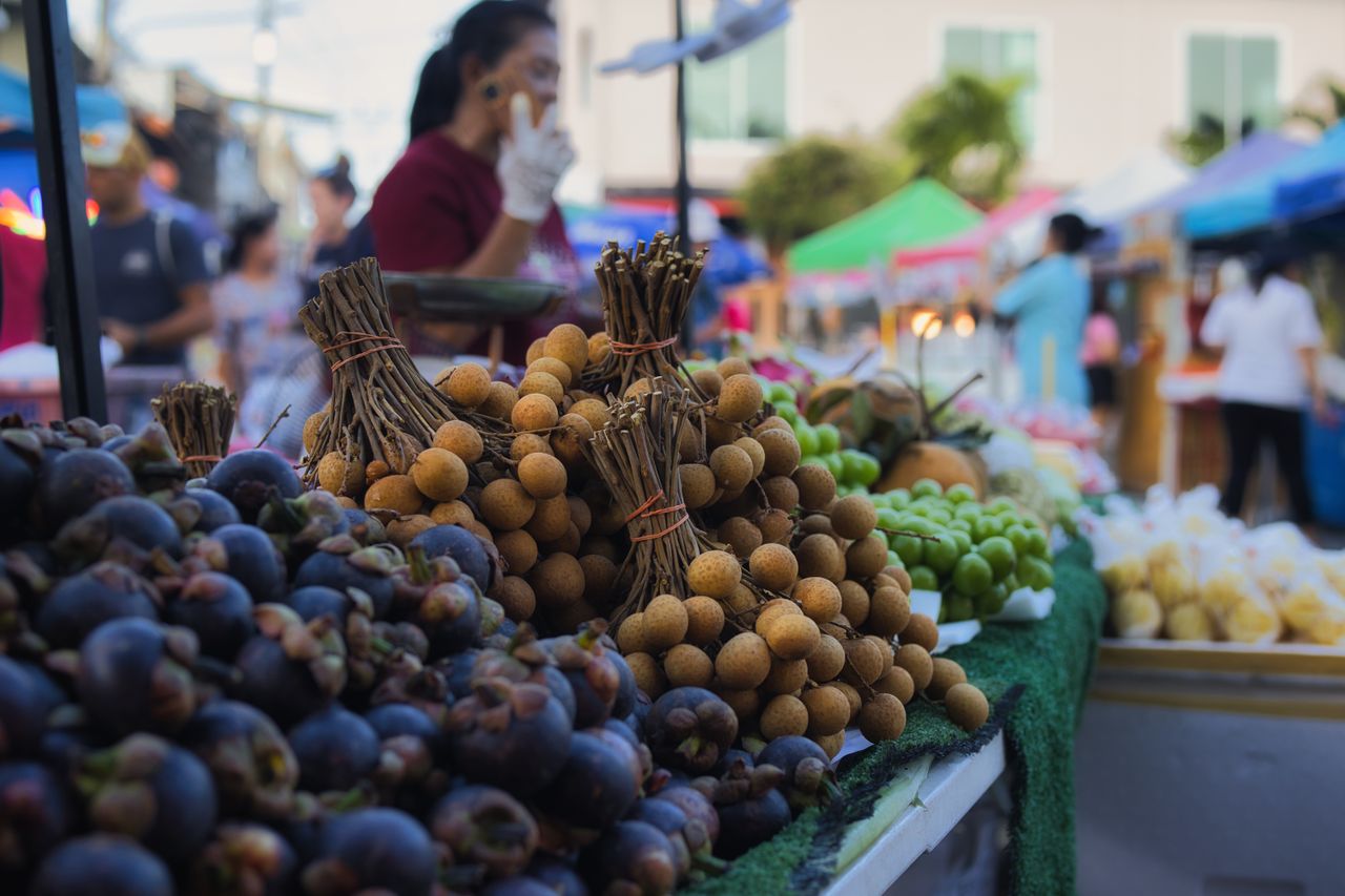 Além do aspecto curioso, a fruta oferece uma experiência de sabor que lembra a lichia, com polpa suculenta, doce e um aroma delicado, associado a notas de mel e flores. Segundo um artigo do site Tudo Gostoso, a espécie também desperta interesse entre produtores brasileiros que procuram alternativas para diversificar suas plantações e atender ao mercado de frutas diferenciadas.