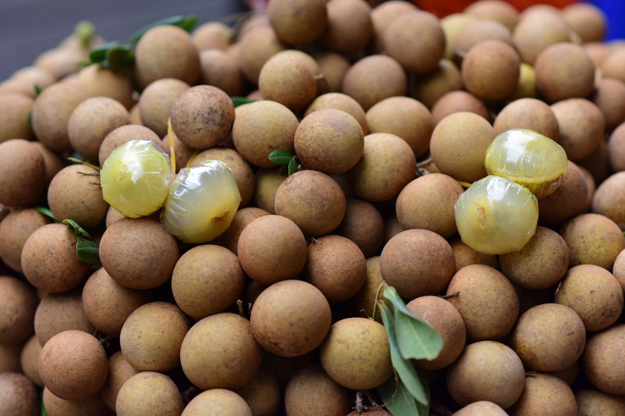 Pouco conhecida entre os brasileiros, uma fruta exótica tem começado a conquistar espaço no país e vem demonstrando potencial de chegar a mais consumidores. Trata-se da longan, originária de áreas tropicais da Ásia e pertencente à mesma família botânica da lichia e do rambotã.  -  (crédito: Pexels/Sóc N?ng ??ng)