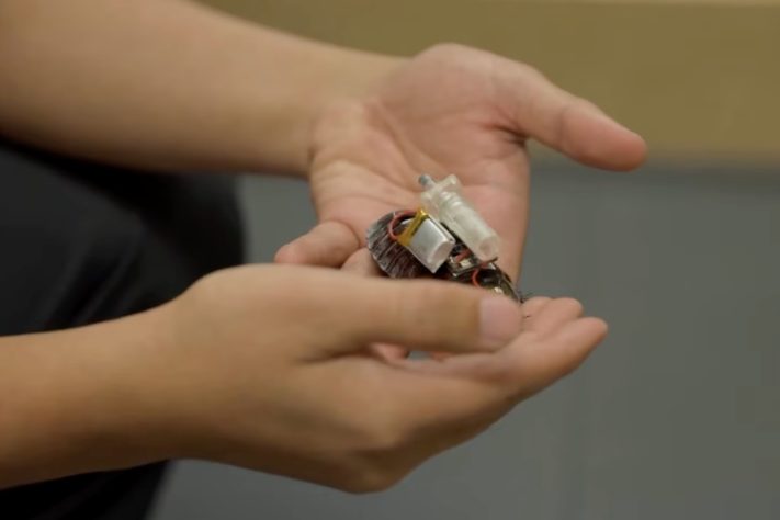 'Paraborgs', baratas ciborgues desenvolvidas para localizar vítimas e levar medicamentos em operações de resgate – Reprodução/YouTube Reuters