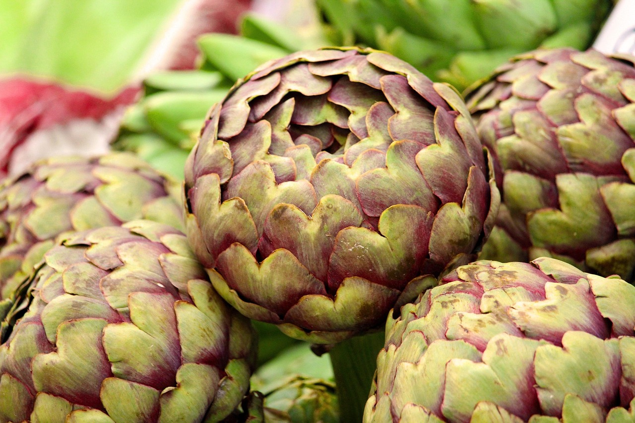 Na hora da compra, vale procurar alcachofras firmes, pesadas para o tamanho e com folhas bem fechadas. Folhas muito abertas, ressecadas ou escurecidas podem indicar que o vegetal já perdeu parte do frescor.